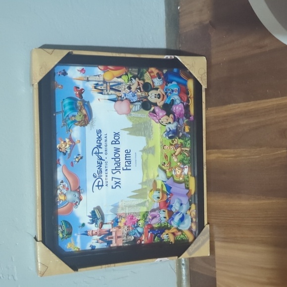 Disney Parks Shadow Box Frame - Picture 1 of 3